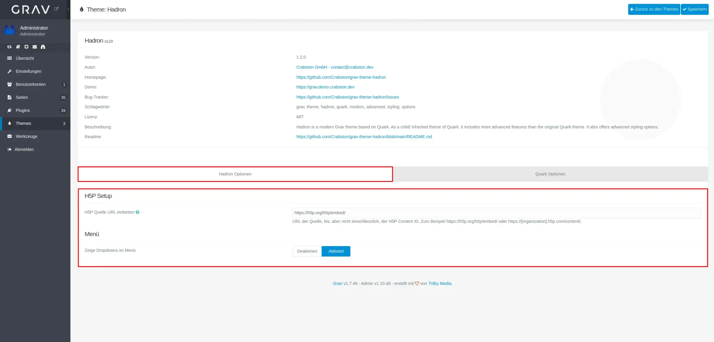 Hadron Einstellungen